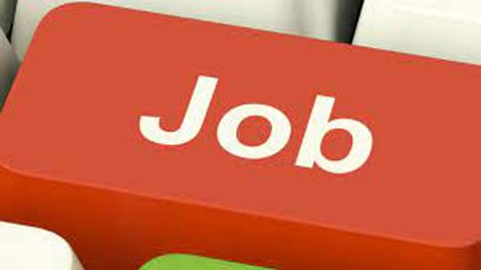 Job vacancy : महिला एवं बाल विकास विभाग में नौकरी पाने का शानदार मौका…देखें डिटेल