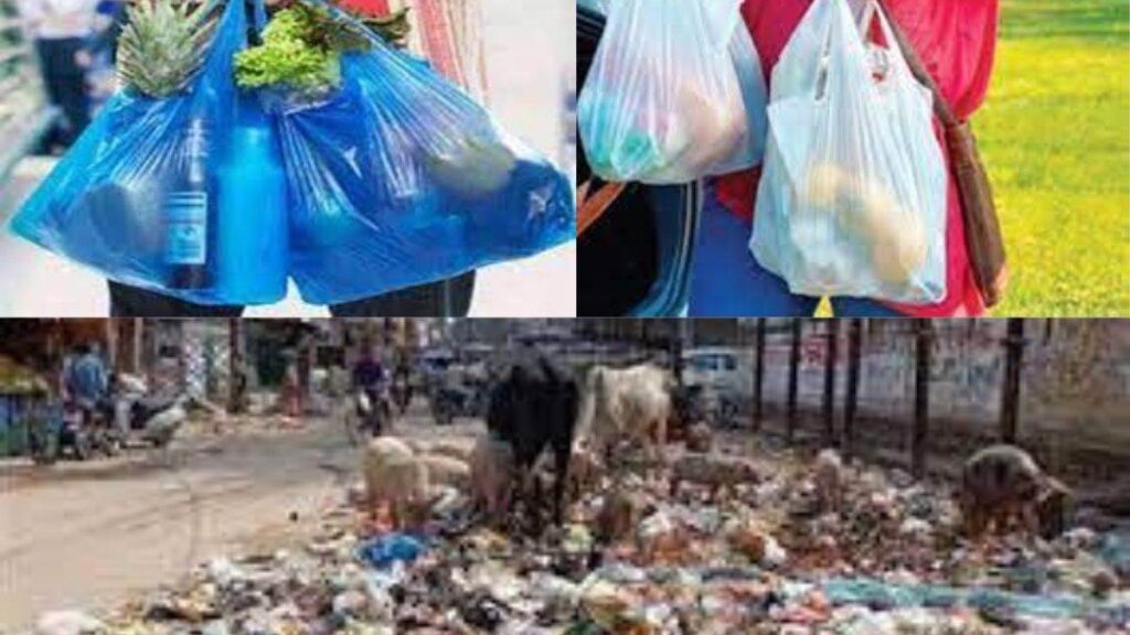 BILASPUR NEWS : बिलासपुर में सिंगल यूज प्लास्टिक की हो रही है तेजी से बिक्री, बनी एक चिंताजनक स्थिति