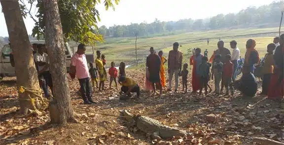 Crocodile enters village : अचानक मगरमच्छ दिखने से ग्रामीणों मे दहशत, वन विभाग ने रेस्क्यू कर खुटाघाट जलाशय में छोड़ा