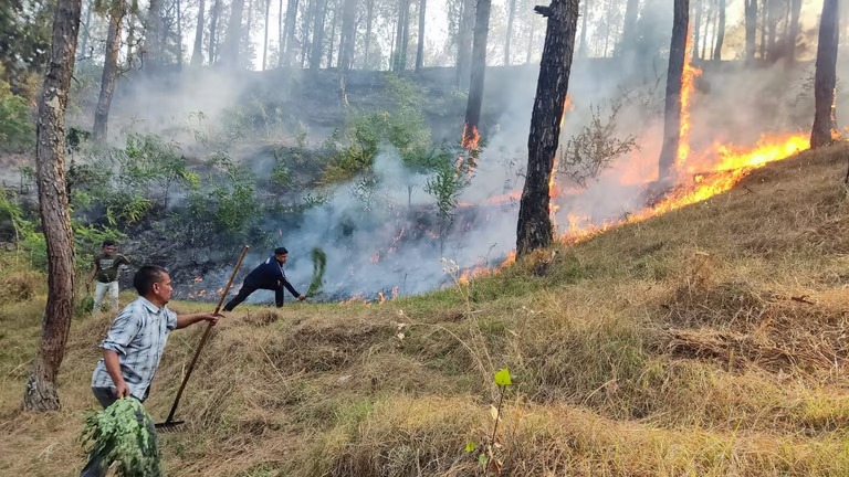 Nainital Fire : 36 घंटे से सुलग रहे नैनीताल के जंगल और पहाड़, आग पर काबू पाने में जुटी भारतीय सेना का MI-17 हेलीकॉप्टर, रिहायशी इलाकों तक पहुंची आग की लपटें