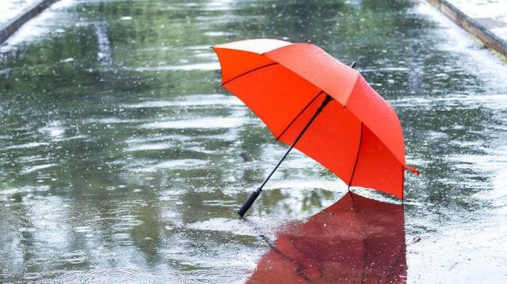 Rain Alert in Chhattisgarh : छत्तीसगढ़ में 10 जुलाई तक भारी बारिश, मौसम विभाग ने जारी किया अलर्ट