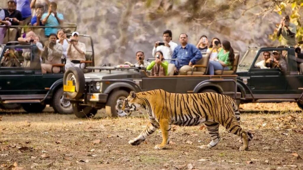 Raipur Jungle Safari : प्लास्टिक फ्री होगा जंगल सफारी, 18 अगस्त से प्लास्टिक पैकेजिंग सामानों पर रोक, छत्तीसगढ़ सरकार ने आदेश किया जारी….