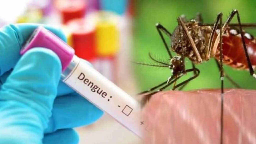 Dengue Delhi : दिल्ली में डेंगू का कहर, 2 लोगों की मौत, अब तक कुल 650 मामले, जानिए इसके लक्षण एवं बचाव