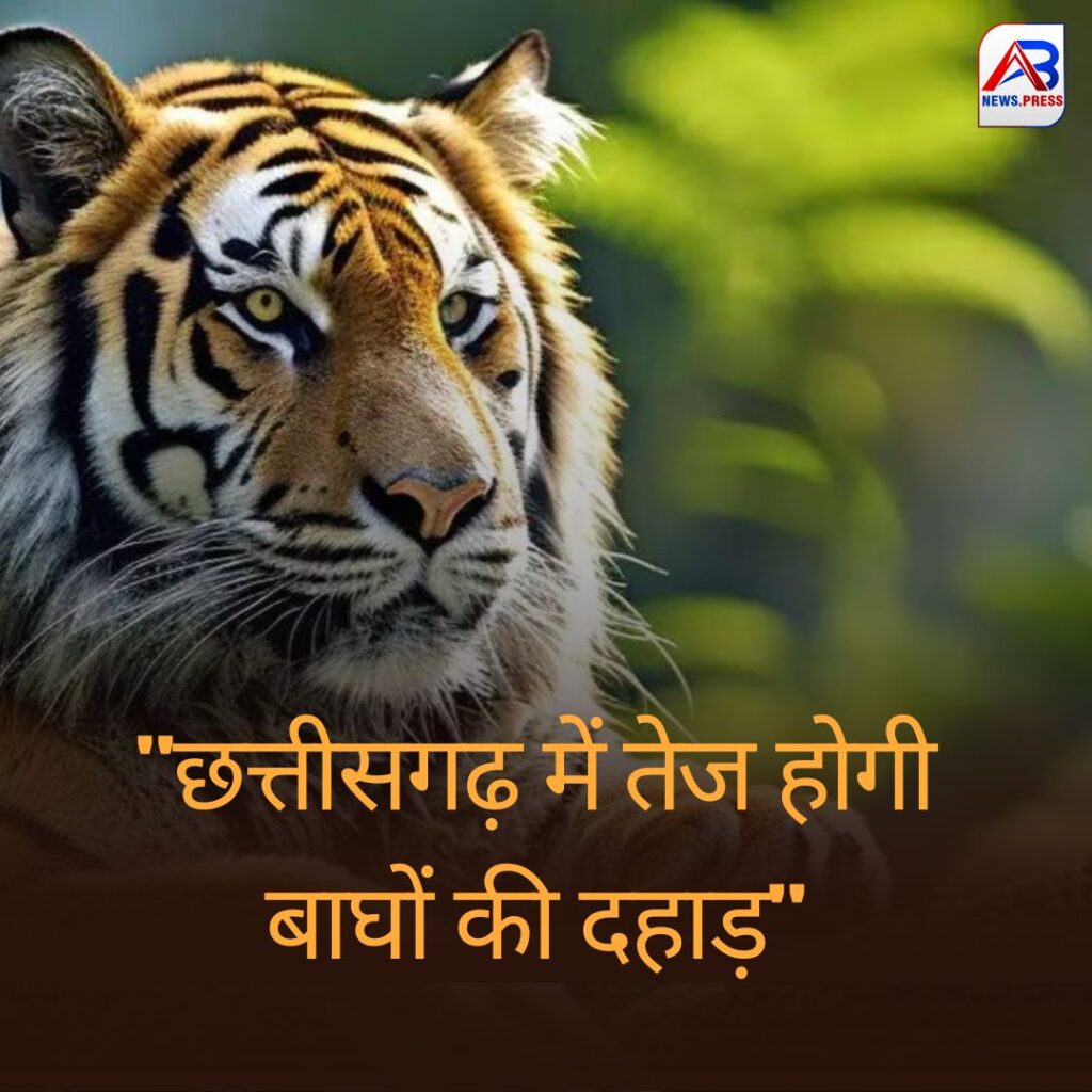 Tiger Reserve Sanctuary in Chhattisgarh: छत्तीसगढ़ में तेज गुंजेगी बाघों की दहाड़, राज्य का सबसे बड़ा टाइगर रिजर्व अभ्यारण्य, सीएम साय ने बधाई