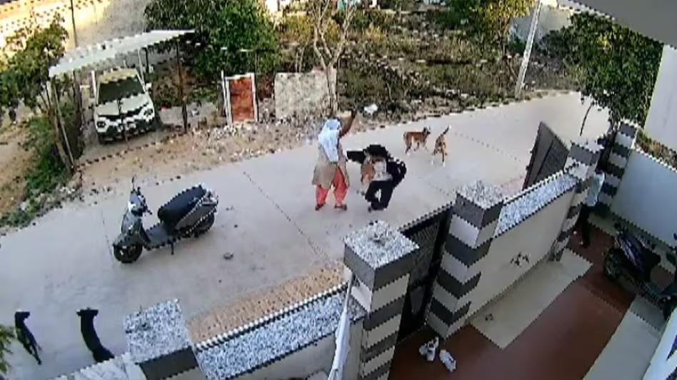 Alwar Dog Attack : अलवर में खौफनाक घटना, 8 आवारा कुत्तों ने युवती पर किया हमला, सीसीटीवी में कैद हुआ वीडियो