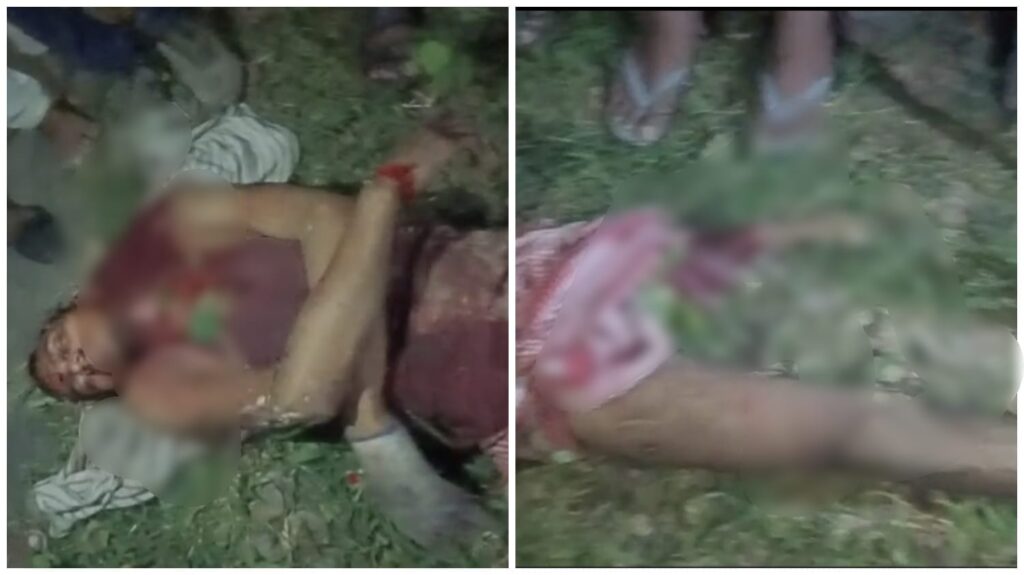 Tiger Attack: Bloody tiger attack in Maholi...! Mother faints after seeing her son's blood-soaked body... Watch the gruesome video here