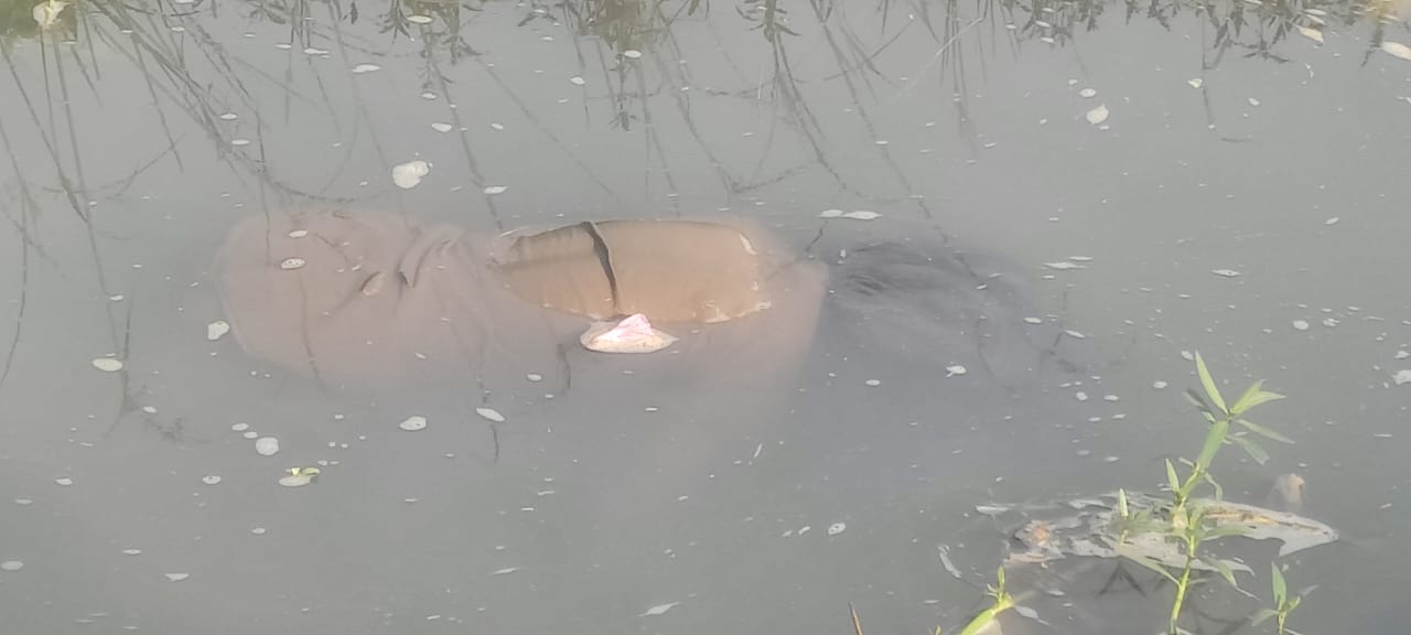 Big Breaking: रायपुर में मिला नाबालिग लड़की का शव, इलाके में फैली सनसनी, जांच में जुटी पुलिस