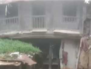 Dogs Ate Human Body Indore: इंदौर में खौफनाक घटना, बुजुर्ग का शव कुत्तों ने नोचा, खा गए हाथ-पैर और मुंह 