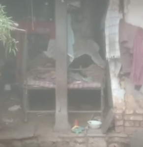 Dogs Ate Human Body Indore: इंदौर में खौफनाक घटना, बुजुर्ग का शव कुत्तों ने नोचा, खा गए हाथ-पैर और मुंह 