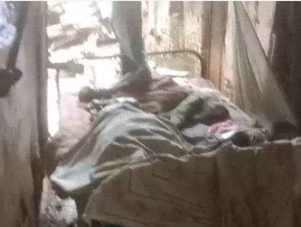 Dogs Ate Human Body Indore: इंदौर में खौफनाक घटना, बुजुर्ग का शव कुत्तों ने नोचा, खा गए हाथ-पैर और मुंह