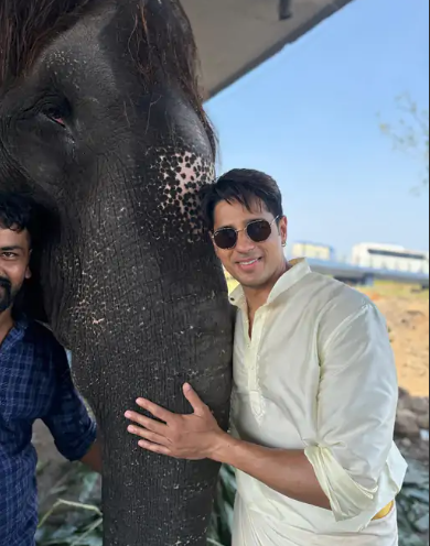 Sidharth Malhotra elephant video: हाथी को झूठा पानी पिलाने पर ट्रोल हुए सिद्धार्थ मल्होत्रा, वीडियो वायरल