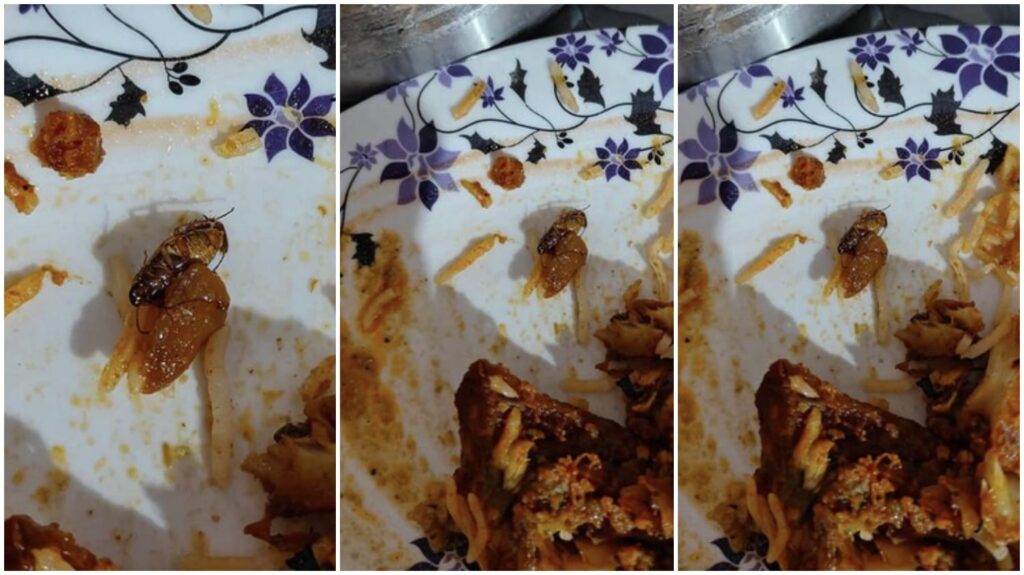 Be Careful : बिरयानी में निकला मरा कॉकरोच…! उपभोक्ता की शिकायत पर इस प्रतिष्ठित रेस्टोरेंट पर कार्रवाई