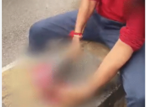Raipur youth finger cut video: रायपुर में युवक ने गौ-माता की जय बोलकर उंगली काटी, वीडियो वायरल – सरकार से 'राज्य माता' घोषित करने की मांग