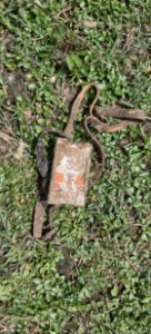 Factory worker skeleton found : झाड़ियों में मिला फैक्ट्री कर्मचारी का कंकाल, 4 अगस्त से था लापता, परिजनों ने जताई हत्या की आशंका