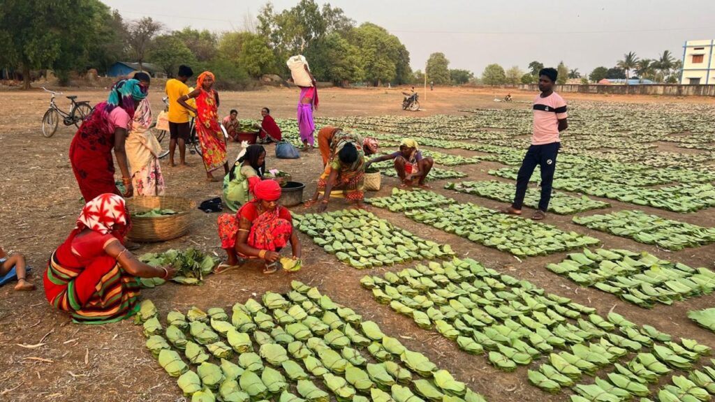 Special Article: The success story of 25 years of the formation of Chhattisgarh state... Prosperity increased due to forest produce, water conservation and eco-tourism.