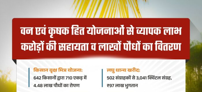 Manpur-Ambagadh-Chowki: Villagers in Mohla district thrive on tendu leaves and tree plantation; forestry schemes have transformed the economic landscape.