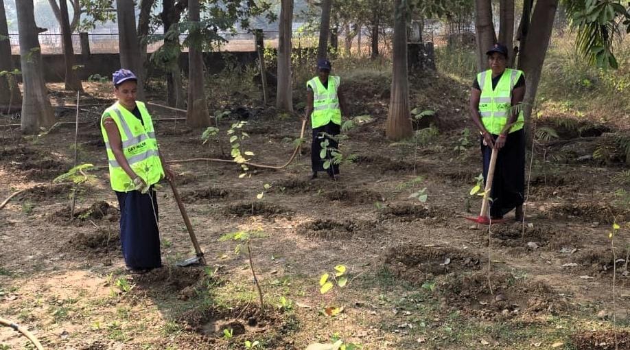 Women for Trees : अमृत मिशन में महिलाओं की पहल से हरियाली और आत्मनिर्भरता को नई दिशा