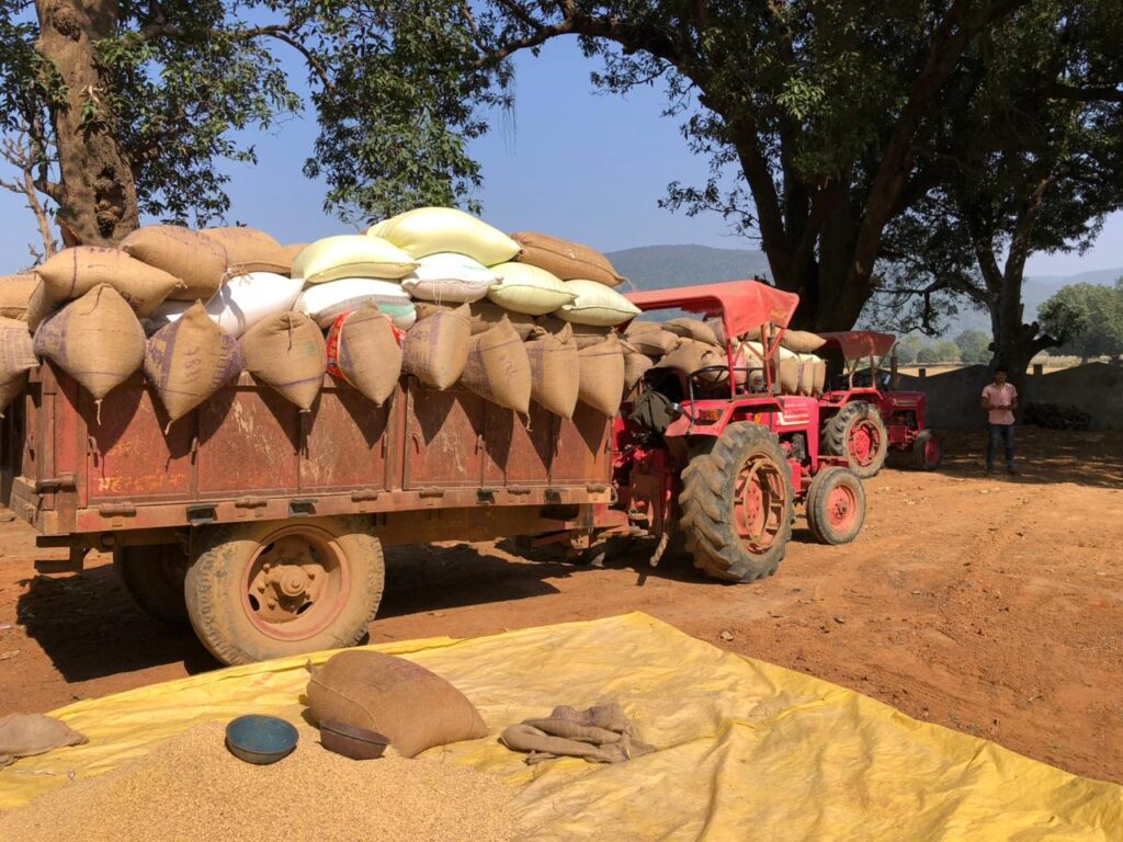 Paddy Procurement : धान खरीदी का महाअभियान जारी…50.75 लाख मीट्रिक टन धान की खरीदी, 9.71 लाख किसानों को लाभ