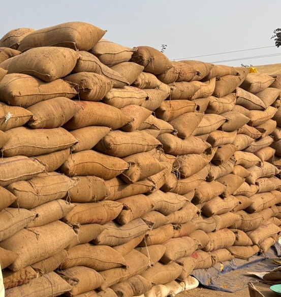 CG NEWS : साढ़े सात एकड़ की खेती से बढ़ा आत्मविश्वास…! किसान परिवार खुशहाल