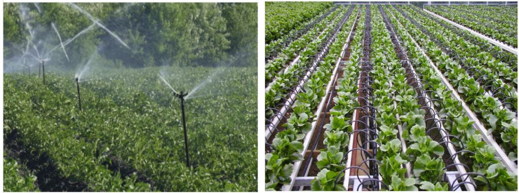 PM Agricultural Irrigation Yojana : प्रधानमंत्री कृषि सिंचाई योजना से किसानों को बहुआयामी लाभ…19306 किसानों को लाभ: 16154 हेक्टेयर रकबा सिंचित