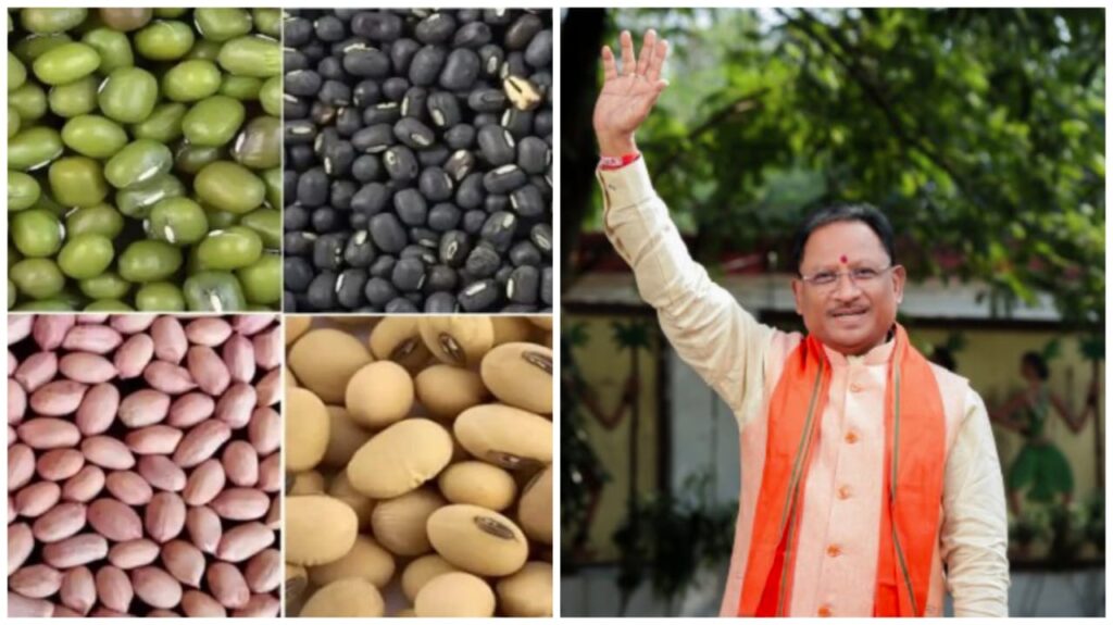 MSP Approval : किसानों को बड़ी राहत…! केंद्र सरकार ने छत्तीसगढ़ में खरीफ फसलों की MSP पर खरीद को दी मंज़ूरी…यहां देखें List