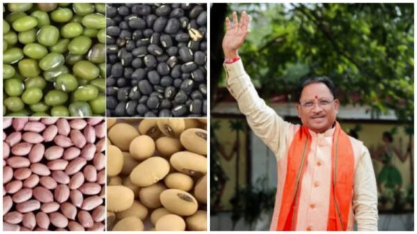 Kharif Marketing Year 2025-26 : खरीफ 2025–26 में किसानों को बड़ी राहत…छत्तीसगढ़ में दलहन–तिलहन की एमएसपी पर खरीद को मंजूरी
