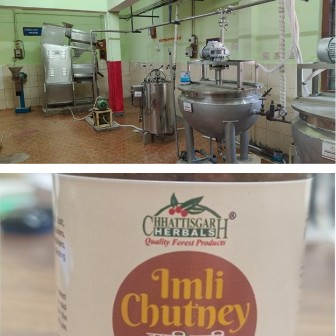 Women’s Empowerment : वन विभाग का नवाचार…बस्तर की इमली चटनी को राष्ट्रीय पहचान दिलाएंगी सुकमा की महिलाएं