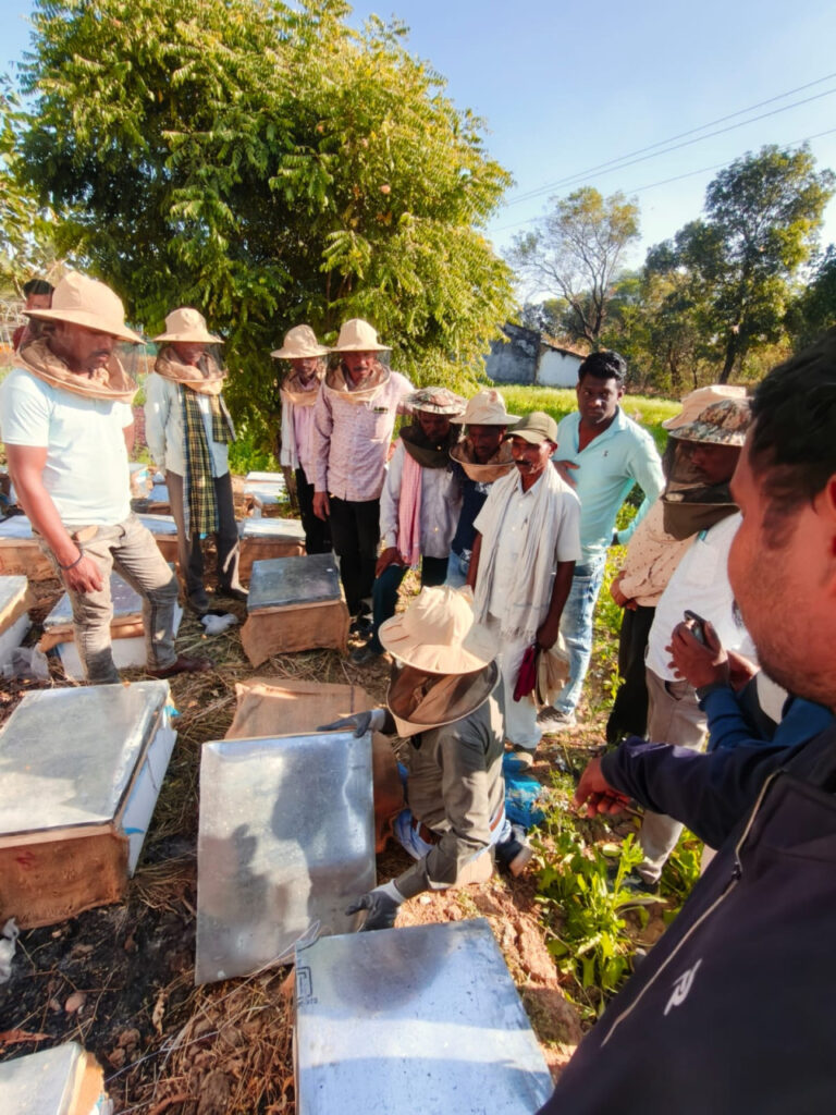 Cross-Pollination : मधुमक्खी पालन से खुला किसानों की आर्थिक समृद्धि का द्वार