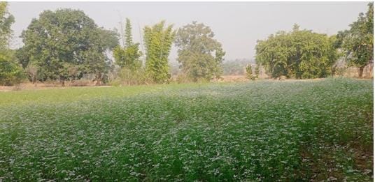 CG NEWS : जल संरक्षण की मिसाल…‘मोर गांव मोर पानी’ से 45 परिवार हुए आत्मनिर्भर