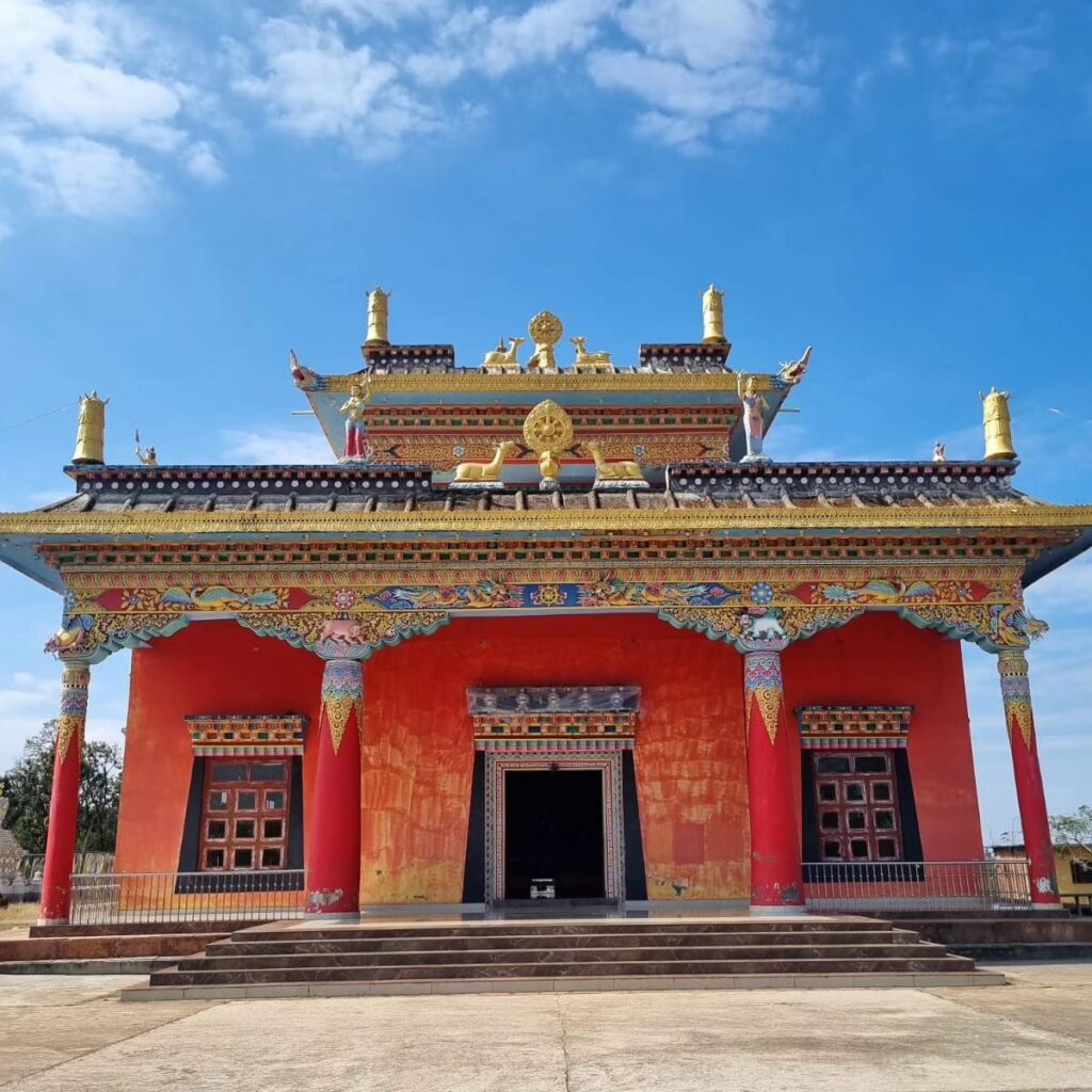 Mainpat Festival :13 से 15 फरवरी तक मैनपाट में उत्सव का रंग, संगीत-संस्कृति और स्वाद का अनोखा संगम