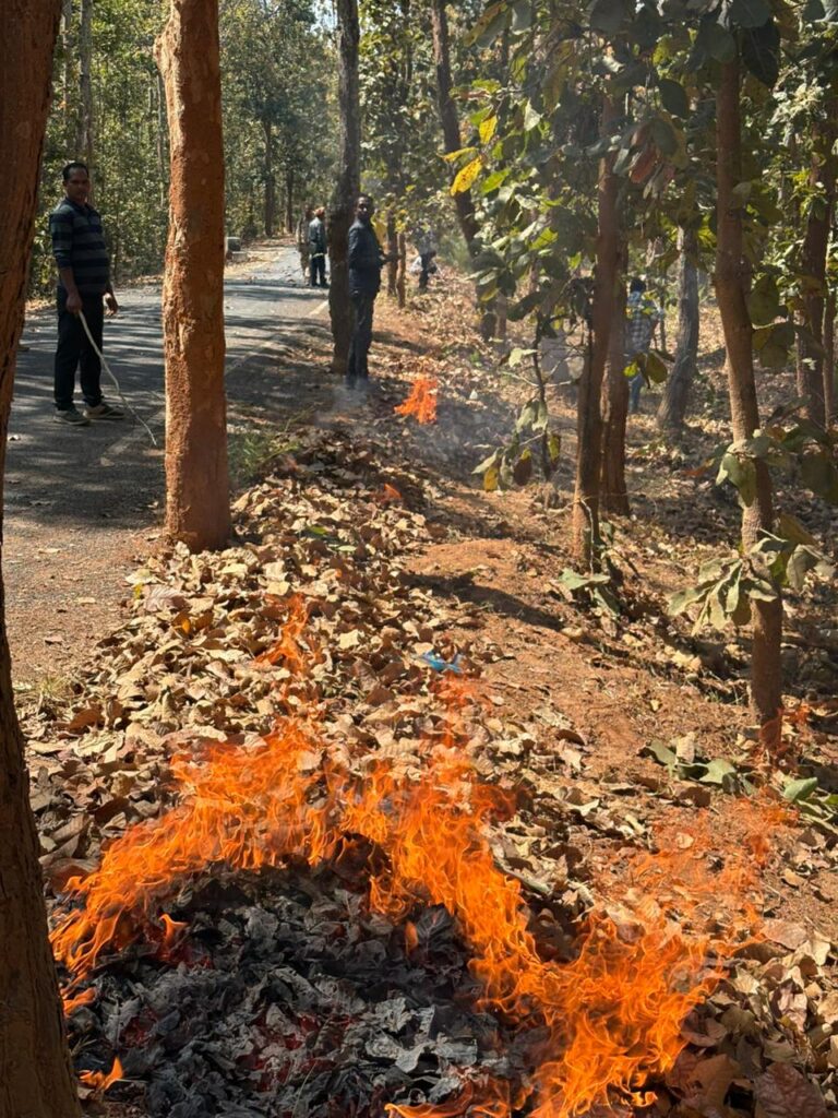 Forest Development Corporation : कोंडागांव एवं फरसगांव में एक दिवसीय अग्नि सुरक्षा कार्यशाला आयोजित