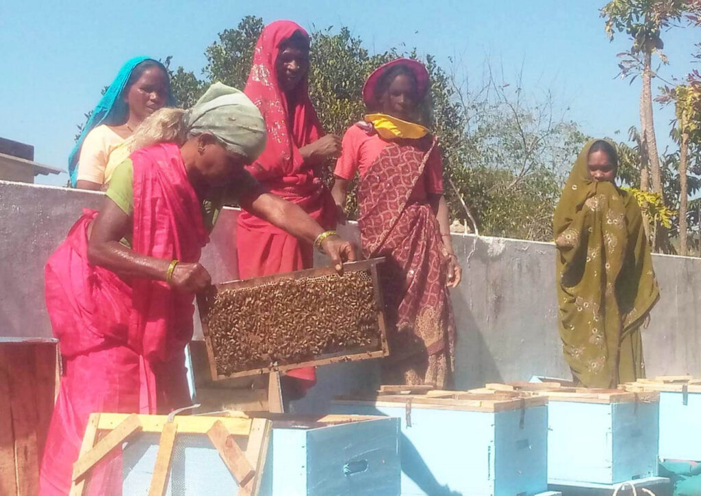 BeeKeeping : चम्पा में महिलाओं को आत्मनिर्भर बनाने के लिए मधुमक्खी पालन की ओर बढ़ाए कदम, प्रधानमंत्री धन-धान्य योजना के तहत प्रशिक्षण