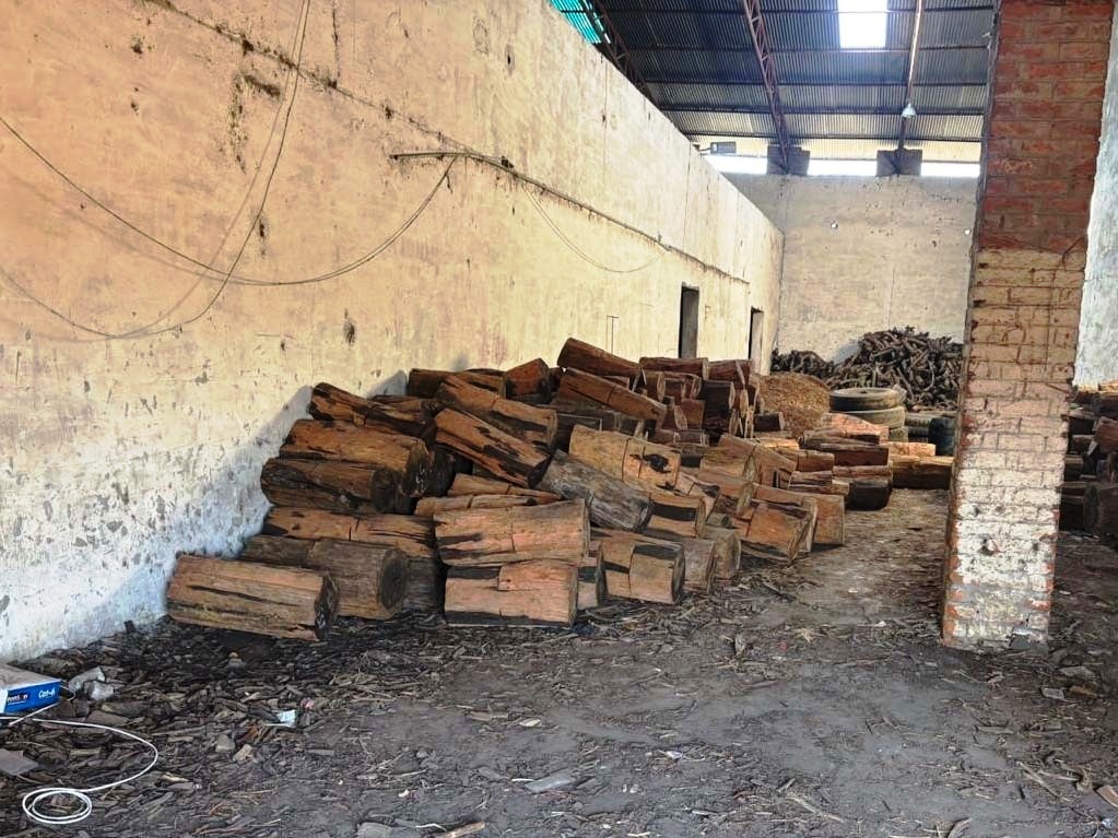 Forest Department Raigarh : वन विभाग की बड़ी कार्रवाई…लकड़ी से भरा ट्रक जब्त…चालक गिरफ्तार