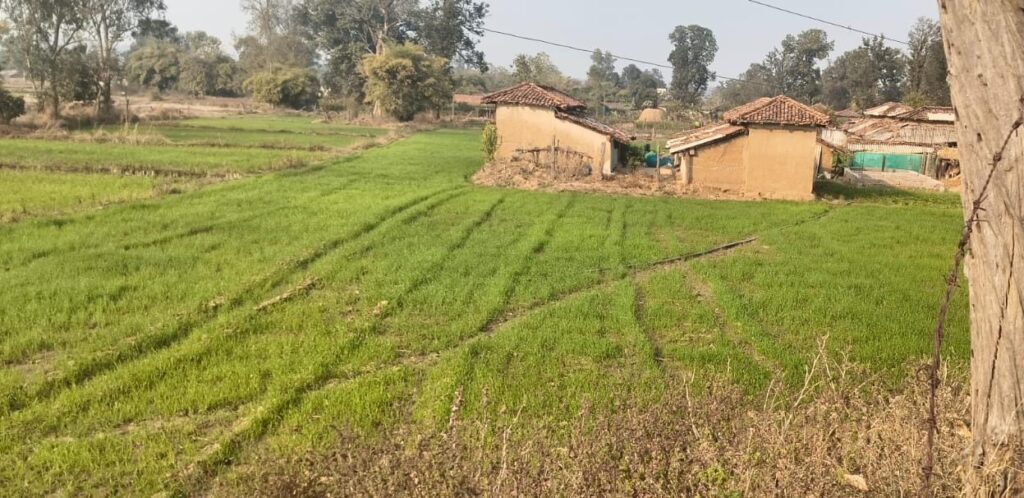 Water Conservation : ग्रामीण विकास और जल संरक्षण का संगम…वर्षा जल संचयन से बढ़ी कृषि उत्पादकता और सशक्त हुई महिलाएं