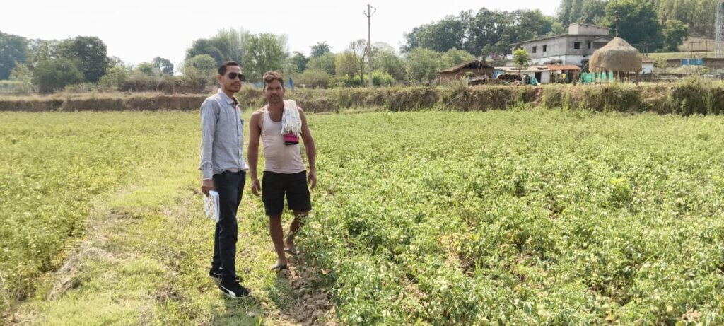 CG State Farmer’s : राष्ट्रीय बागवानी मिशन से किसानों को संबल…टमाटर की उन्नत खेती से सुनील भगत ने हासिल किया उल्लेखनीय उत्पादन