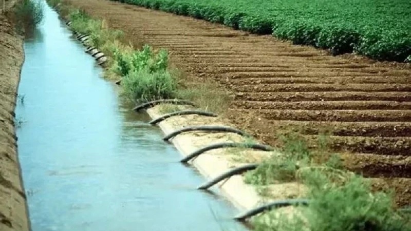 Farmer Prosperity : सुकमा जिले में जल प्रबंधन की बड़ी सफलता…! किसान समृद्धि योजना का बड़ा परिणाम…177 नलकूपों से जल उपलब्ध