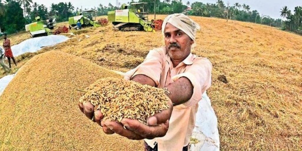 Paddy Purchase : धान खरीदी पर सरकार का बड़ा फैसला…! एमएसपी और ₹3100 के अंतर की राशि सीधे खातों में ट्रांसफर…लाखों किसानों को राहत