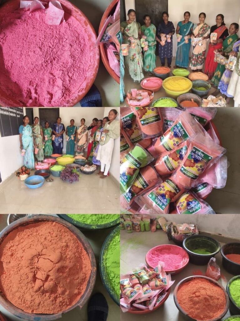 National Rural Livelihood Mission से महिलाओं को मिली नई पहचान…हर्बल गुलाल निर्माण से आत्मनिर्भर बनीं झाटीबिन की दीदियां