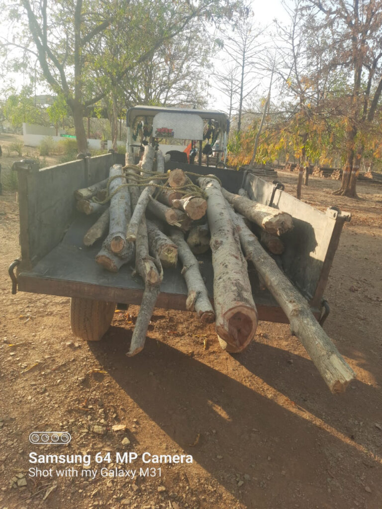 Illegal Wood Seized : अवैध लकड़ी परिवहन पर वन विभाग की बड़ी कार्रवाई…सागौन-हल्दू से भरा ट्रैक्टर जप्त