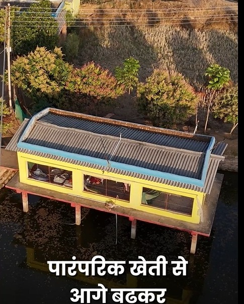 Fish-Cum-Poultry Farming : एकीकृत मछली-सह-मुर्गी पालन से बदली खेती की तस्वीर…नई सोच से खेती में बदलाव की मिसाल
