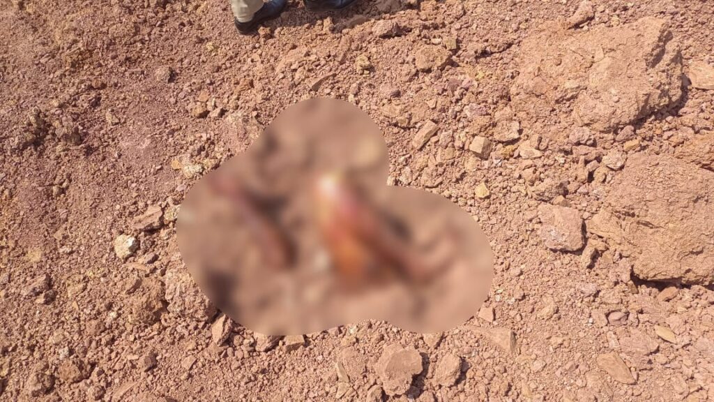 Crime News : रायपुर ब्रेकिंग…! अभनपुर में जमीन में दफन मिला शव…बाहर निकले दिखे हाथ-पैर…इलाके में दहशत