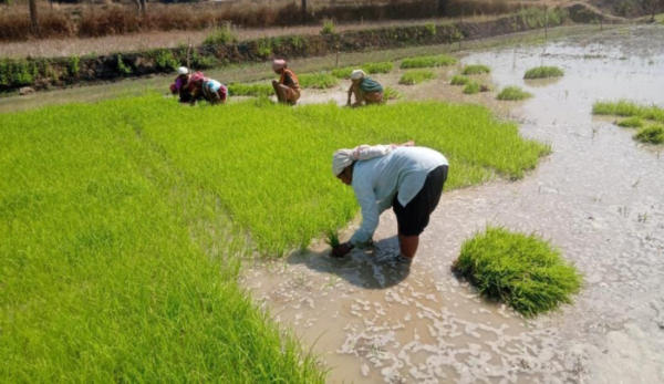 Special Distribution Program : भूमिहीन कृषि मजदूरों को आर्थिक संबल देने हेतु विशेष वितरण कार्यक्रम का आयोजन