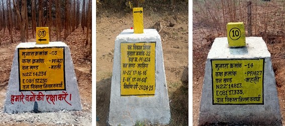 Forest Demarcation को मिला मजबूती का आधार…संवेदनशील और प्रमुख वन क्षेत्रों में टिकाऊ मुनारों का व्यापक निर्माण कार्य