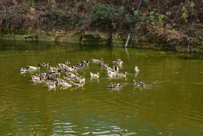 PM Matsya Sampada Yojana से बदली तस्वीर…युवा किसान बना आत्मनिर्भरता की मिसाल