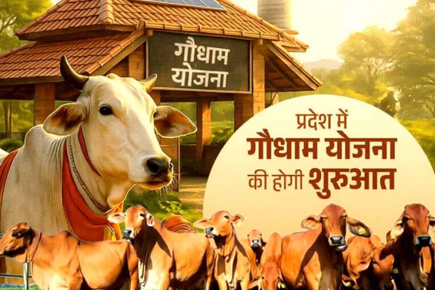 CG Gaudham Yojana : छत्तीसगढ़ में ‘गौधाम योजना’ की शुरुआत…मुख्यमंत्री 14 मार्च को करेंगे शुभारंभ