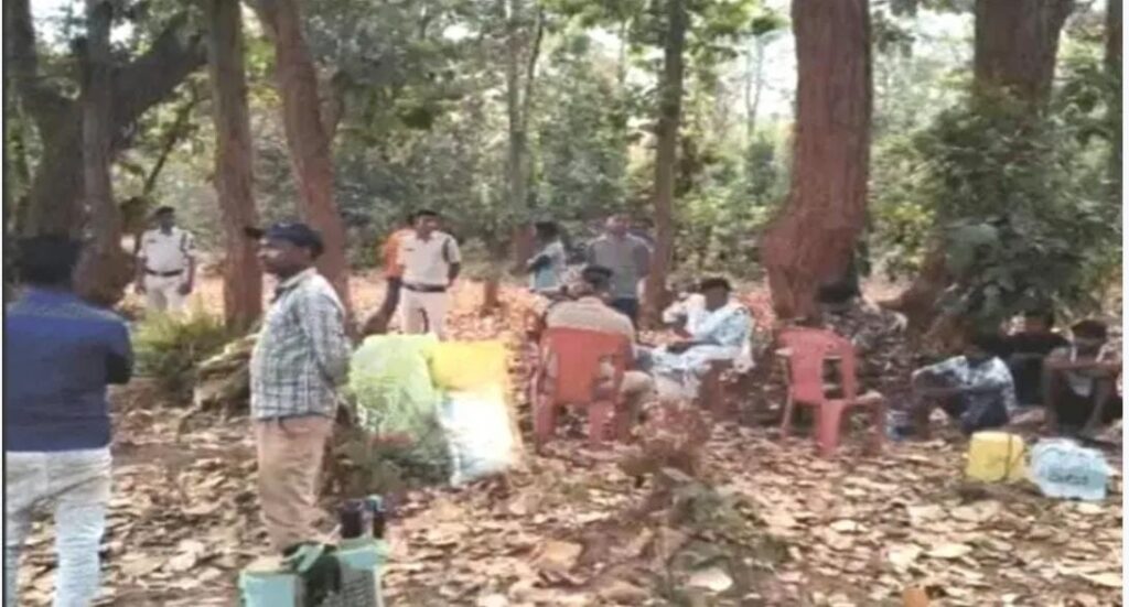 Illegal Farming : बलरामपुर में 5 एकड़ में अफीम की खेती का खुलासा…! प्रशासन ने जब्त की फसल…यहां देखें Video