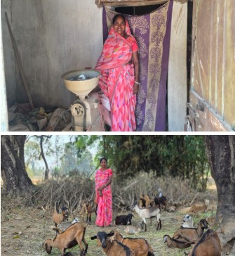 National Rural Mission : बिहान योजना बनी सहारा…सूकर पालन और छोटे व्यवसाय से आत्मनिर्भर बनी जल कुमा