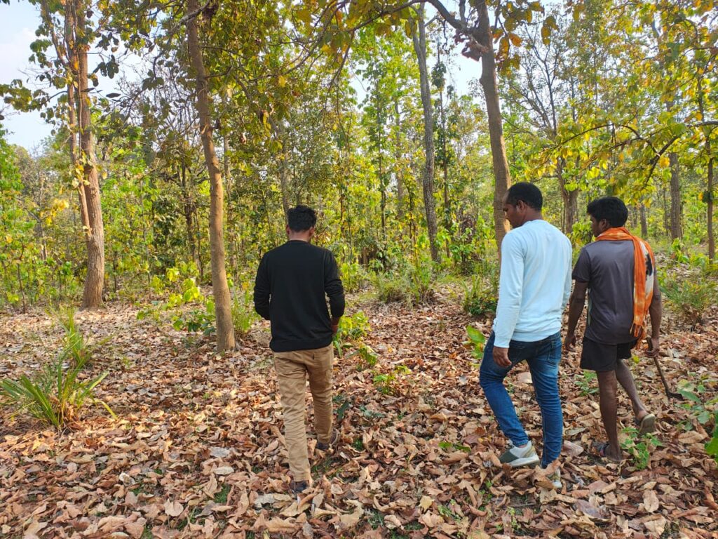 All India Tiger Estimation 2026 : जगदलपुर में फील्ड सर्वे पूरा… वन्यजीव आंकड़ों का विश्लेषण शुरू