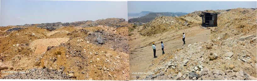 Afforestation : बंजर से हरियाली तक… कोरबा के डंप क्षेत्र में उगा नया जंगल