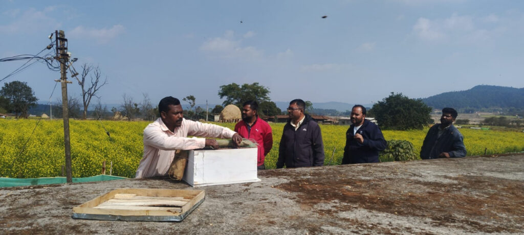 Honey Farming : मधुमक्खी पालन से बढ़ रही किसानों की आय… जशपुर में ‘बीकीपिंग’ बन रहा लाभकारी व्यवसाय